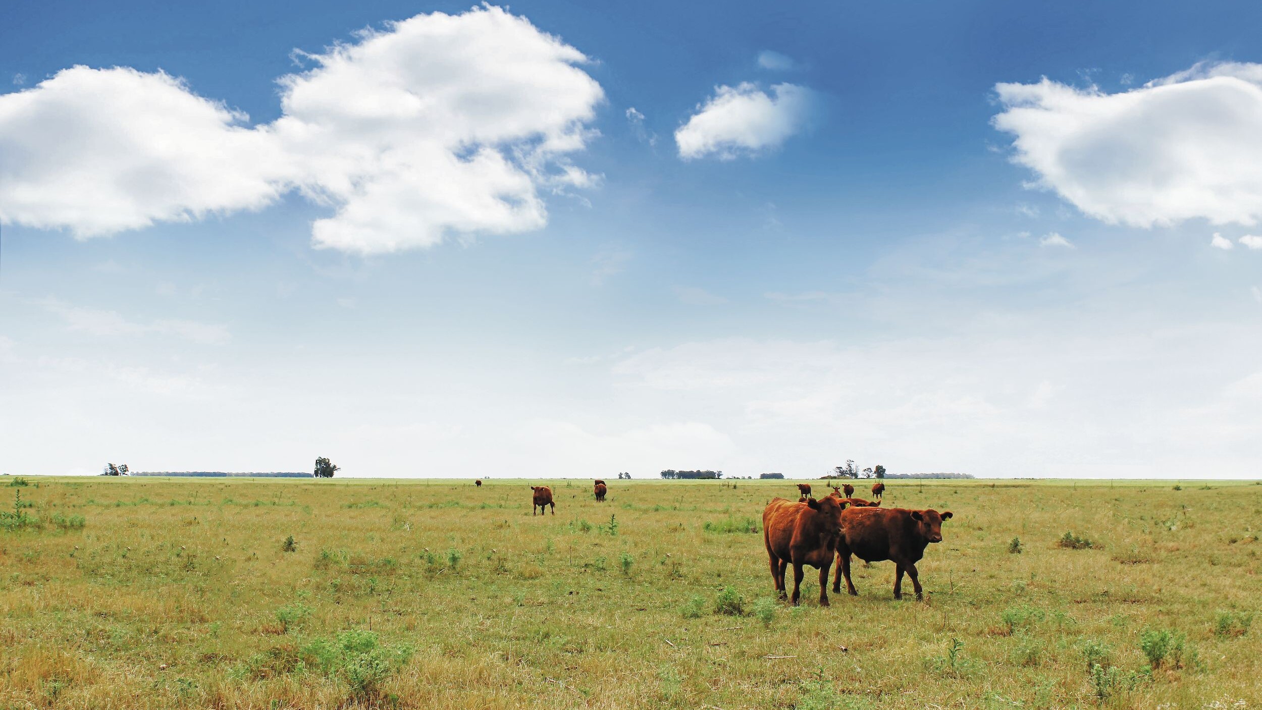 Herkunftsland mit Geschichte
